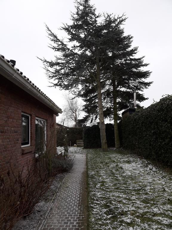 Zomerhuis De Zeedistel Egmond aan den Hoef Exterior photo